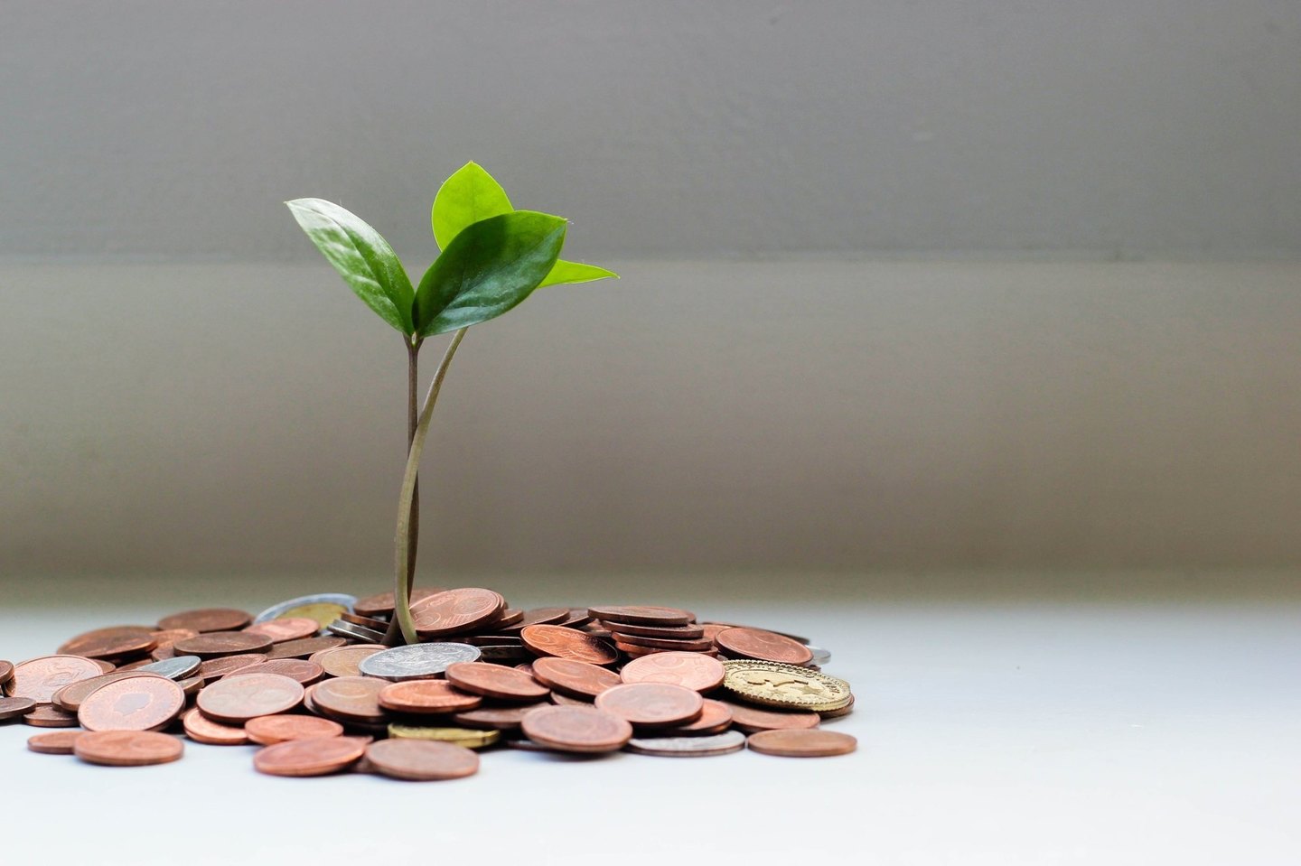 Novas Formas de Renda com a Internet Novas Formas de Renda com a Internet